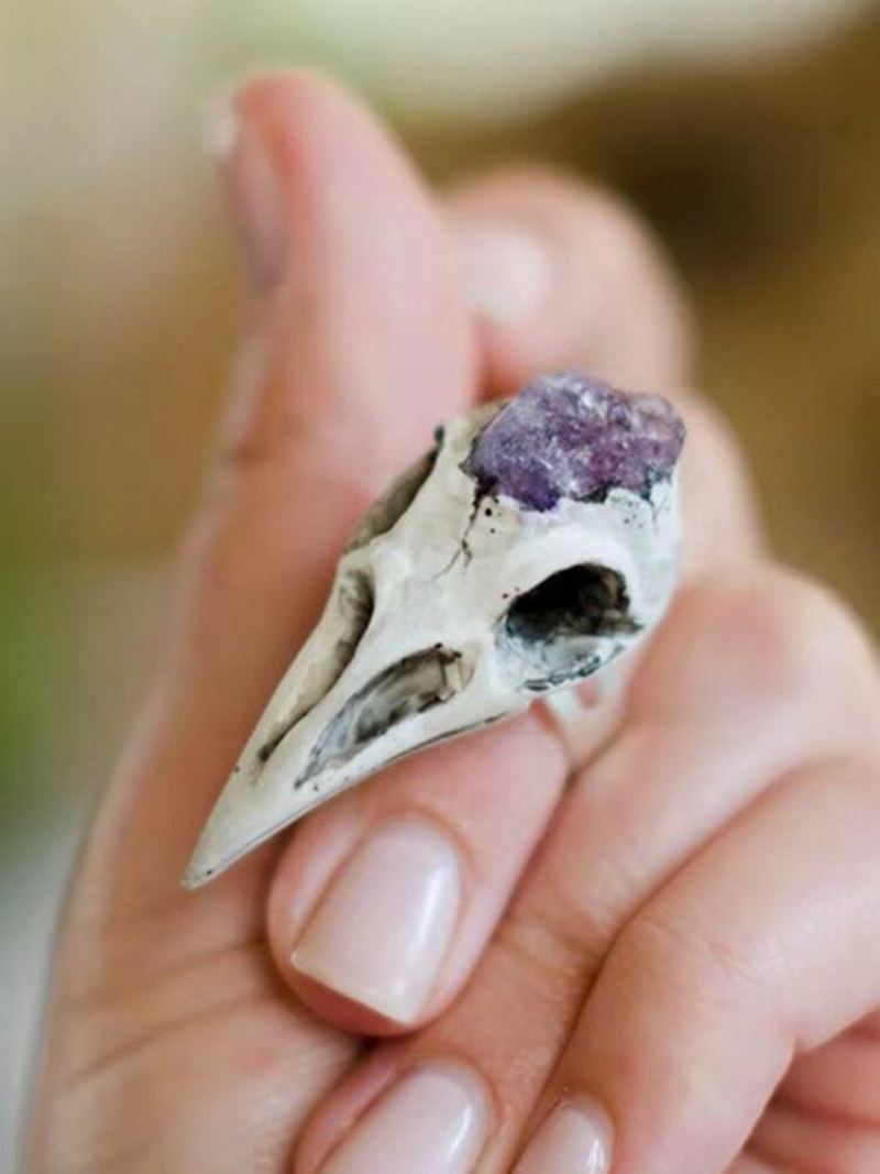 Vintage Ametyst Skeleton Women Ring Bird Lebka Muži Prsten Šperky Dárek