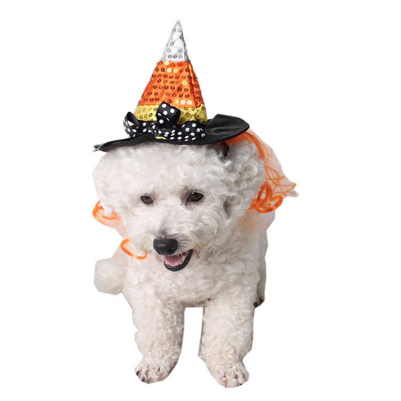 Halloweenské Potřeby Pro Domácí Mazlíčky Květinové Doplňky Pro Vánoční Dekorace Klobouk Čaroděj Hranatý