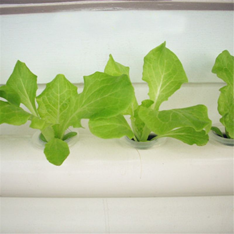 36-díra-4-vrstvy-horizontální-hydroponický-grow Kit-zahrada-plant-plant-planting-grow Box