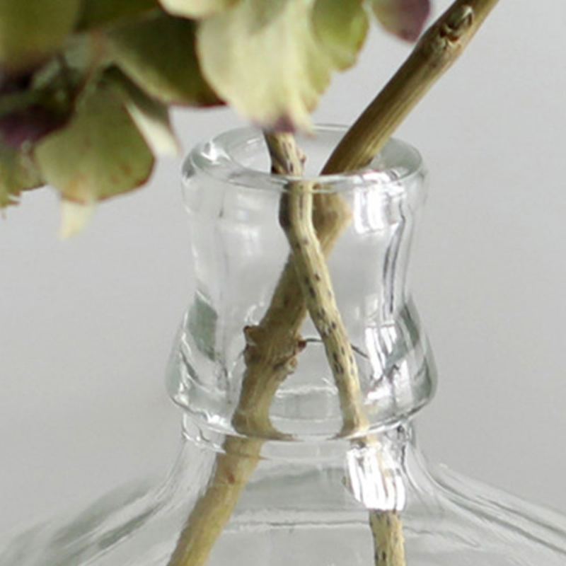 Minimalistická Průhledná Váza Na Květiny Malý Kalibr Velké Tělo Dekorace Na Stůl Pro Domácnost Ornament Skleněná Láhev
