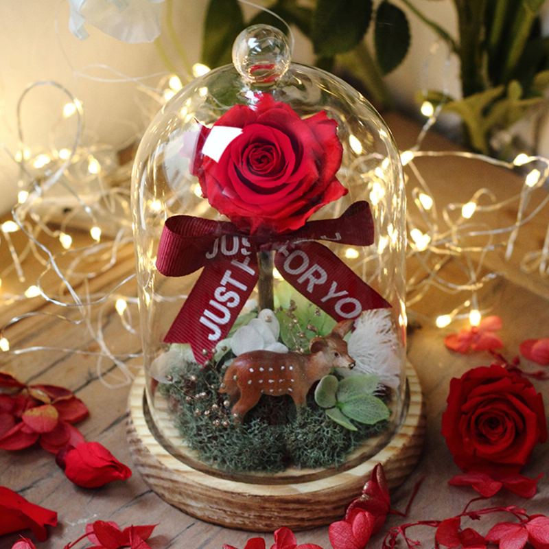 Červená Nesmrtelnost Květina Růže Lucerna Plavá Skleněný Obal Ornament Na Valentýna Dárek K Narozeninám Nebo Výročí Pro Přítelkyni